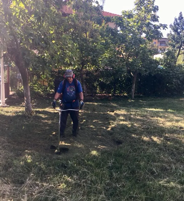 Școlile din Turnu Severin, igienizate de angajații primăriei