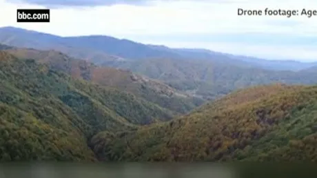 APIA Mehedinți: Deţinătorii de teren agricol care vor să înfiinţeze păduri sau perdele forestiere primesc ajutor de la stat