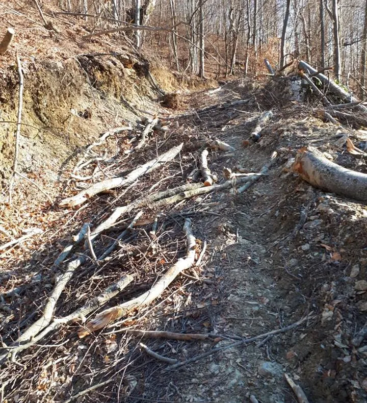 Acţiuni preventive de reducere a incendiilor de vegetaţie uscată