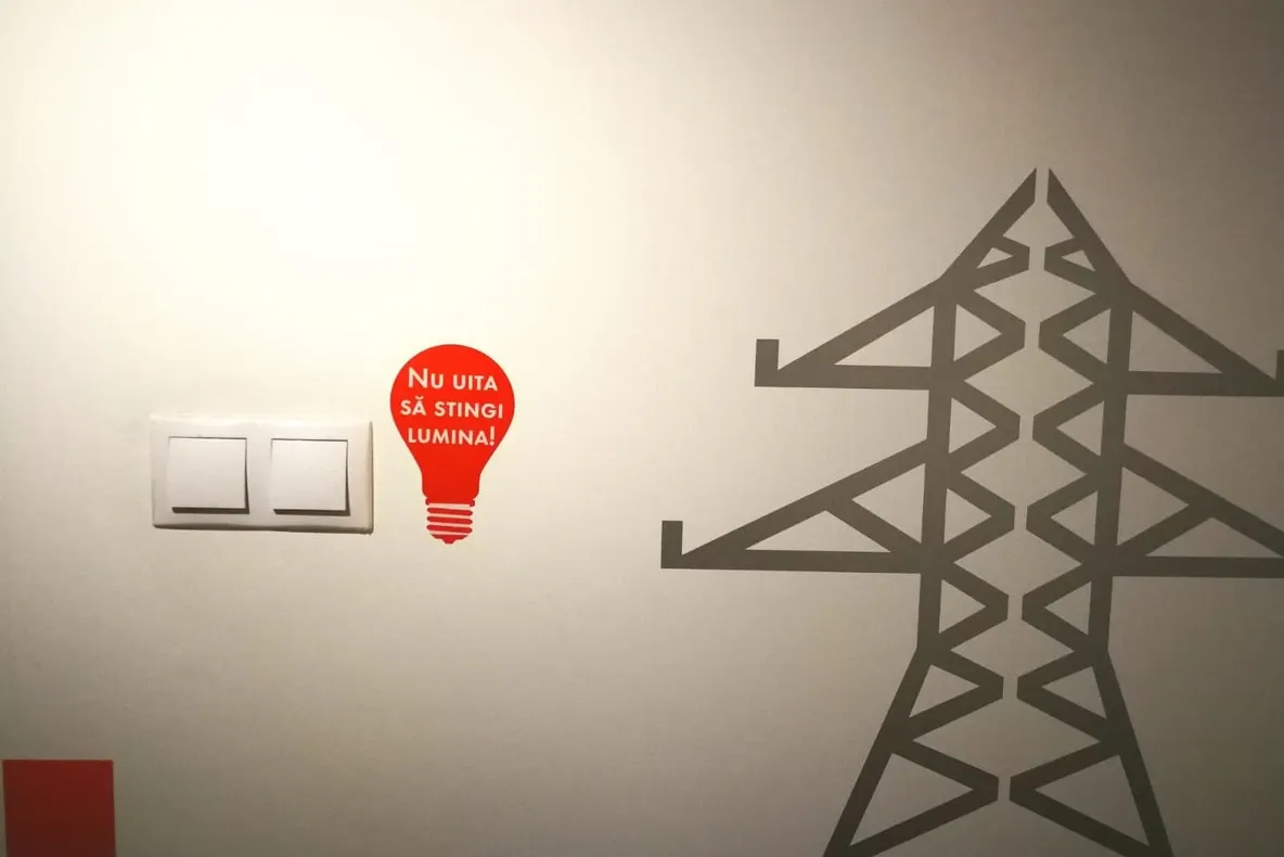 Distribuție Oltenia: Severinul a economisit 1.100 kWh în timpul Orei Pământului