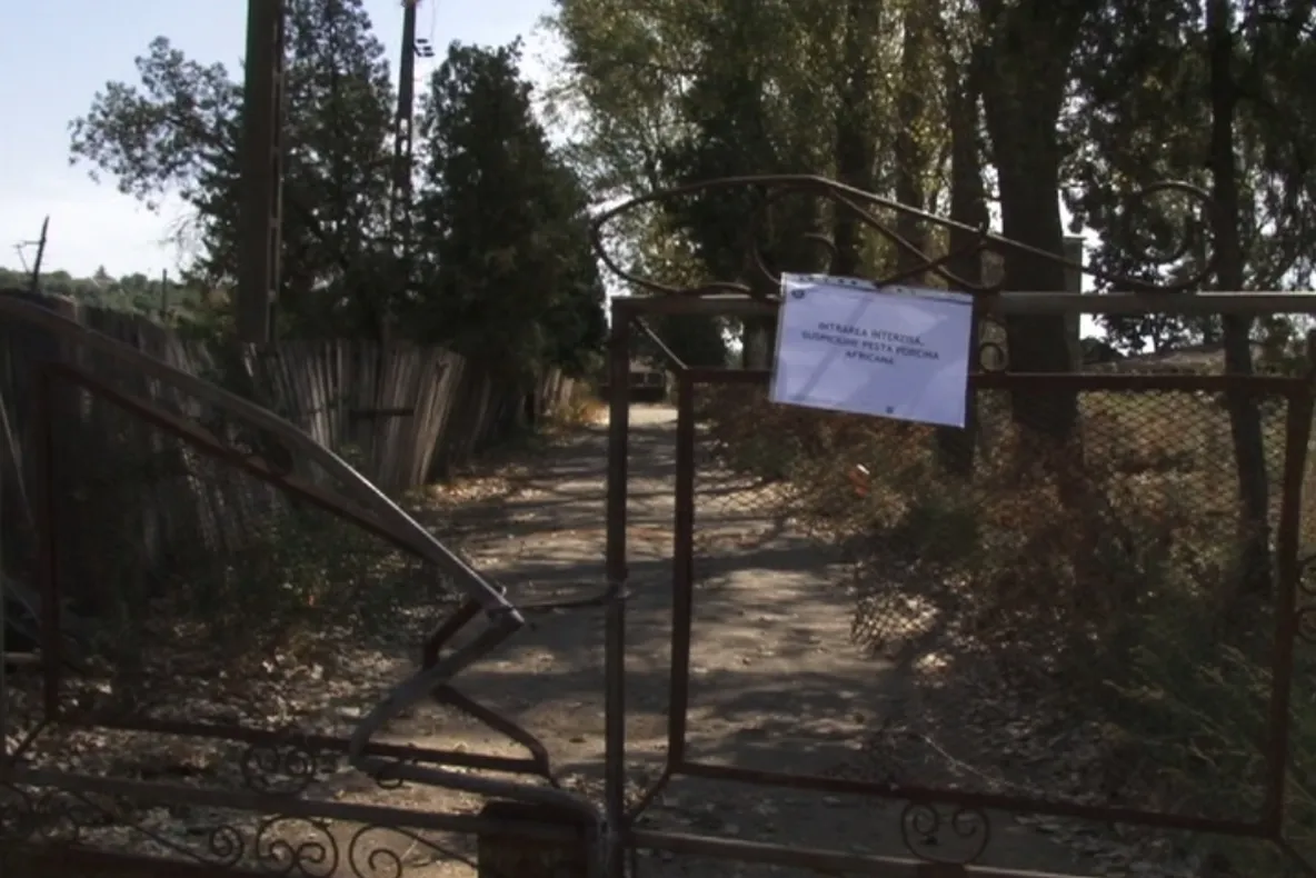 PLÂNGERE PENALĂ PENTRU PESTA PORCINĂ DE LA GÂRLA MARE, MEHEDINȚI. TREI CETĂȚENI ACUZAȚI DE ATENTAT ÎMPOTRIVA COMUNITĂȚII ȘI PROVOCARE DE EPIDEMII.