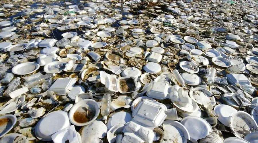 Severinul vrea să interzică farfuriile și paharele de plastic la evenimentele desfășurate pe domeniul public