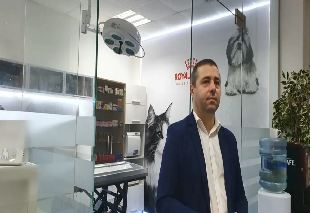 Primăria Severin suportă costul sterilizării câinilor cu stăpân ce aparțin rasei comune