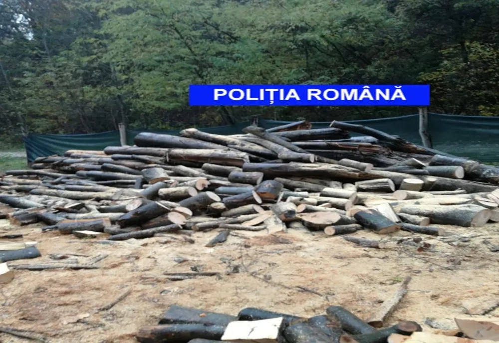 Material lemnos, fără documente legale. Firma sancționată cu 10.000 de lei de poliție
