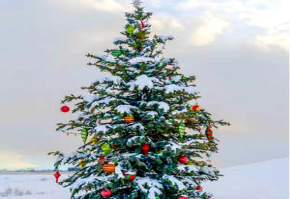 Iluminatul festiv, pornit în seara Sfântului Andrei