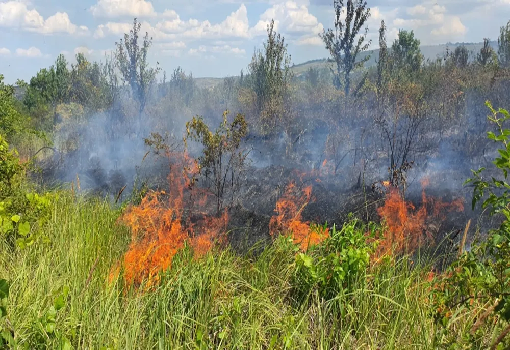 17 misiuni ale pompierilor militari în ultimele 24 de ore în Mehedinți