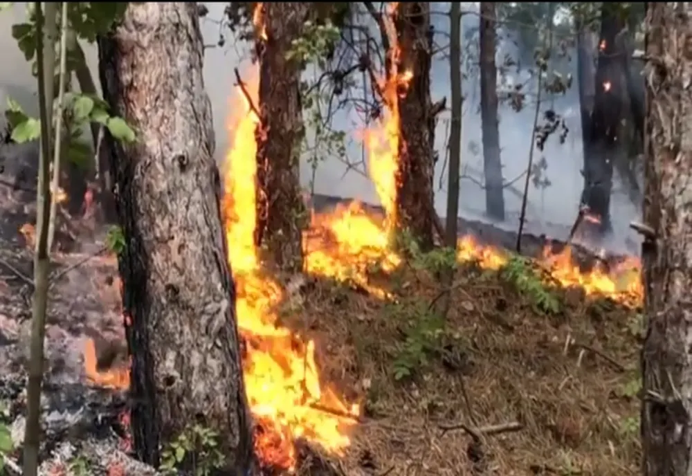 Incendiul din Parcul Natural Porţile de Fier a fost stins astăzi. Ce a lăsat în urmă