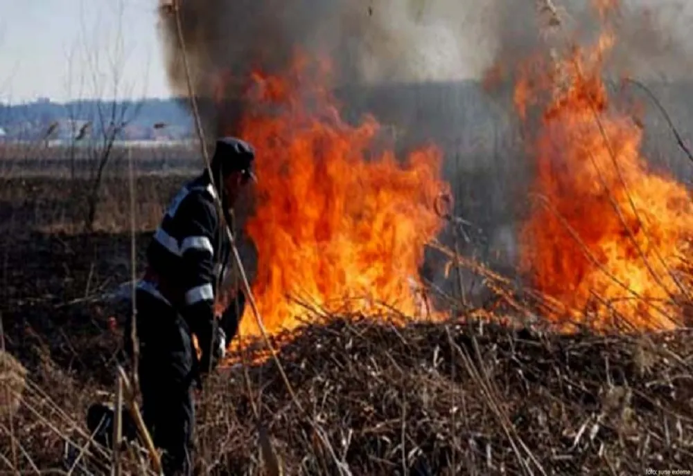 Incendii în Mehedinți