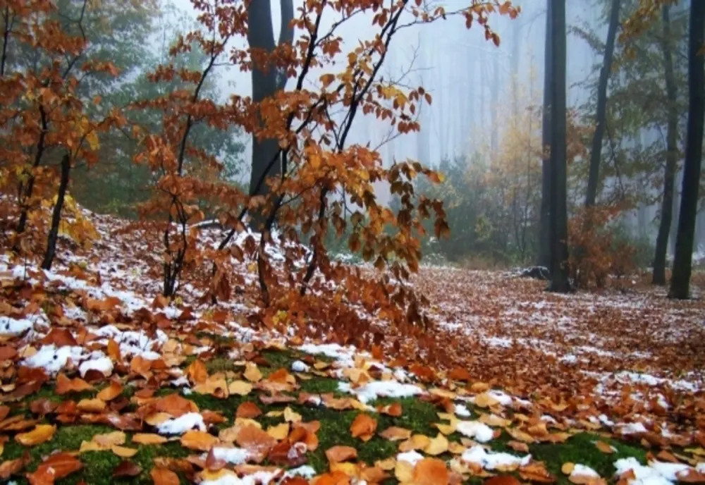 Nori, posibile ploi și temperaturi mai scăzute, astăzi