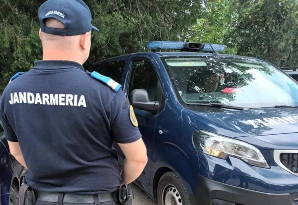 Un șarpe de un metru și jumătate, ascuns la motorul unui autoturism din Severin
