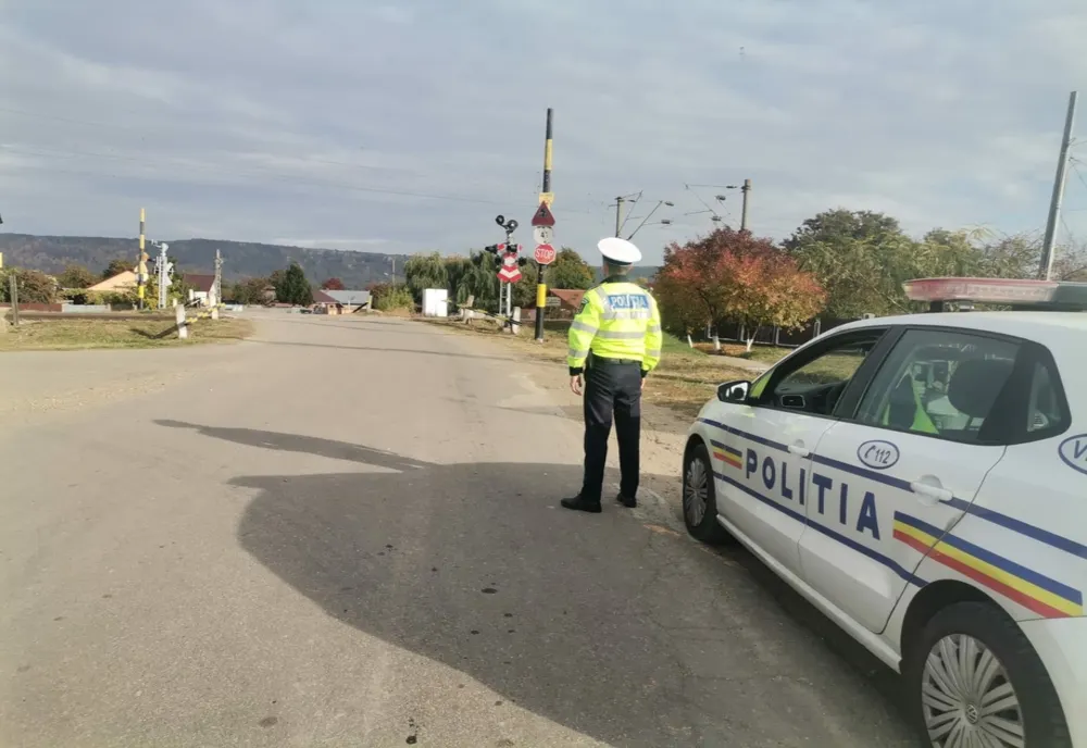 Gemeni, în vârstă de 4 ani, găsiți pe marginea unui drum. Au fost salvați de un jandarm