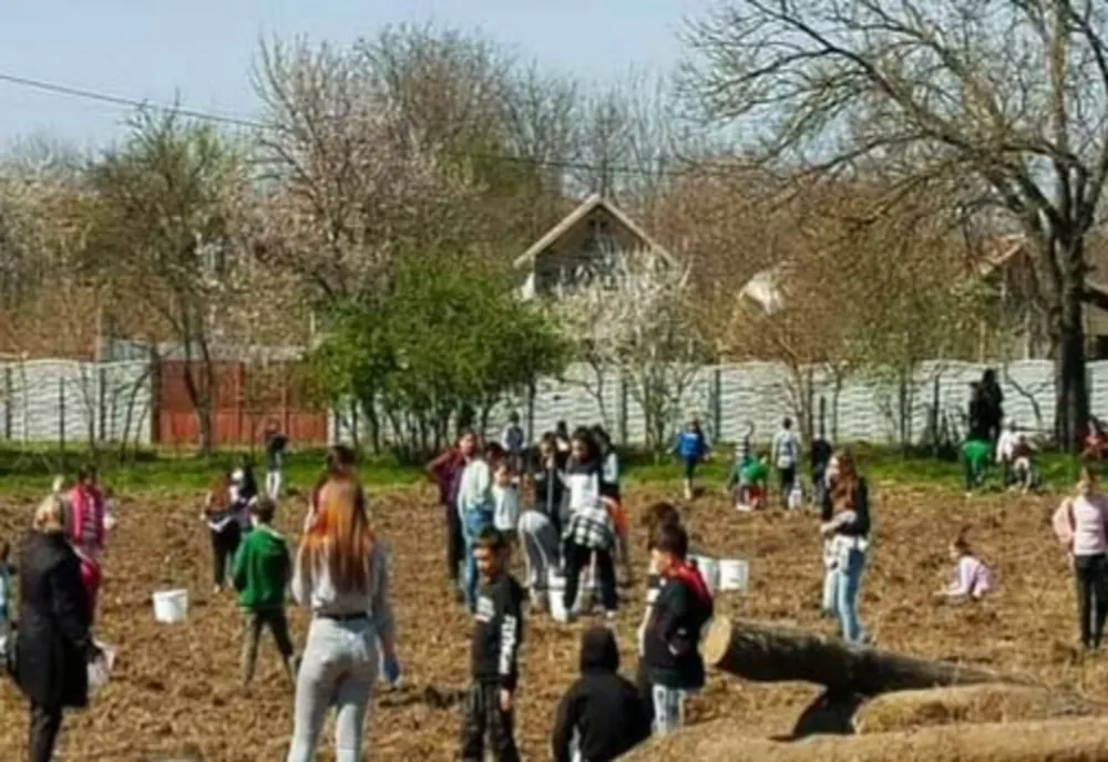 Elevii din din Malovăț și Vânători au plantat pomi fructiferi, alături de profesori