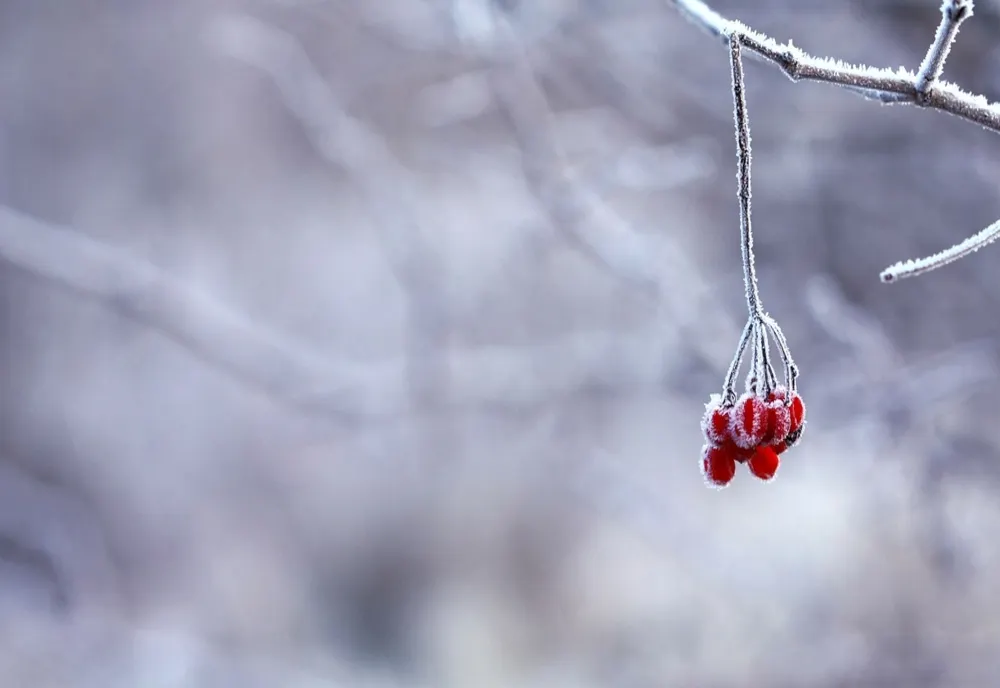 Urgia meteo lovește România: GER cumplit și ninsori viscolite. Când se încălzește