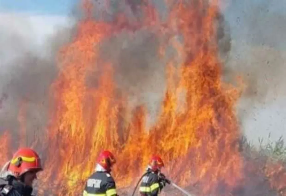 INCENDIU DE VEGETAȚIE, ÎN JUDEȚUL MEHEDINȚI