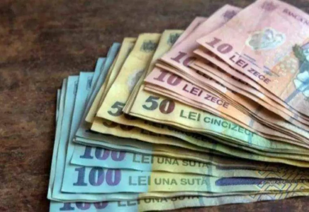 INS: Veniturile medii lunare au fost de 9.420 lei/gospodărie, în trimestrul III 2025