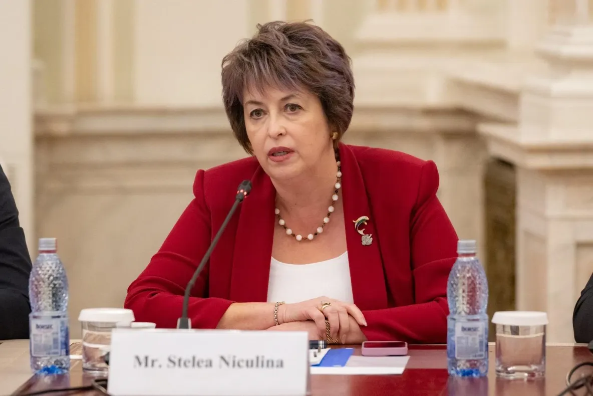 Niculina Stelea (senator AUR): „Delirul verde”, intitulat pompos Green Deal de către Bruxelles, este în mare măsură vinovat de prezumtiva apocalipsă energetică”