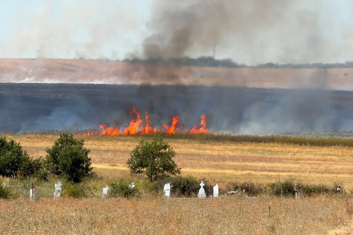 Incendiu de proporții în Mehedinți: hectare de culturi și viță de vie sunt afectate. Risc pentru locuințe - FOTO