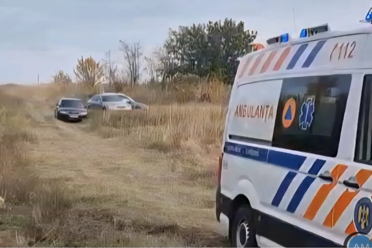 Tragedie în Țigănași: un bărbat de 82 de ani a murit după ce o salcie a căzut peste el