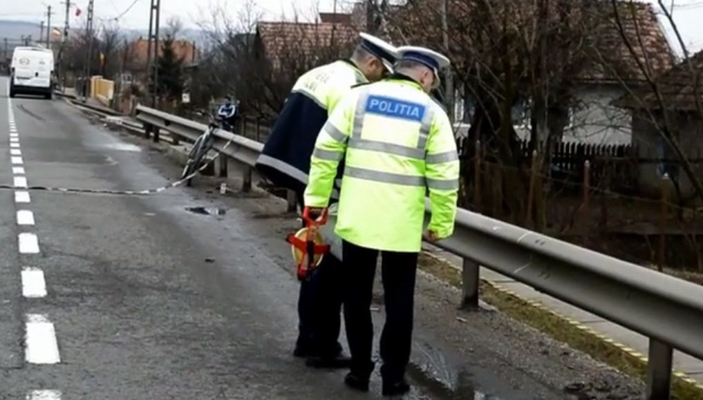 DILEMA UNUI CUI ÎNFIPT ÎN CAPUL UNUI PIETON