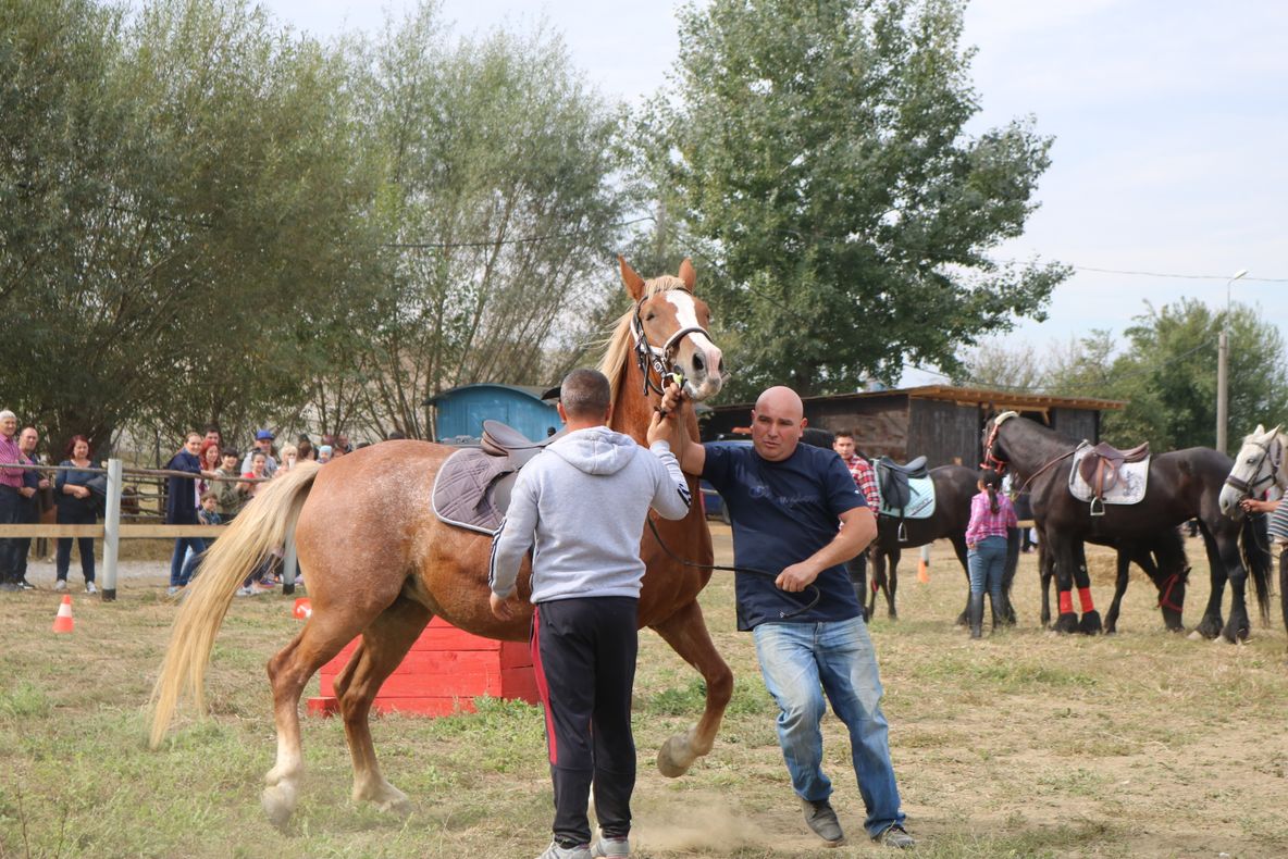 Un om de afaceri severinean a deschis un centru de echitație la Șimian