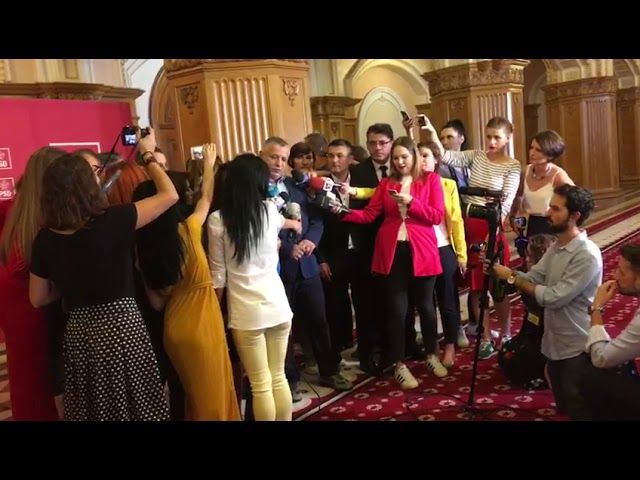 PSD MEHEDINȚI ESTE ȘI NU PREA ESTE ANTI-DRAGNEA