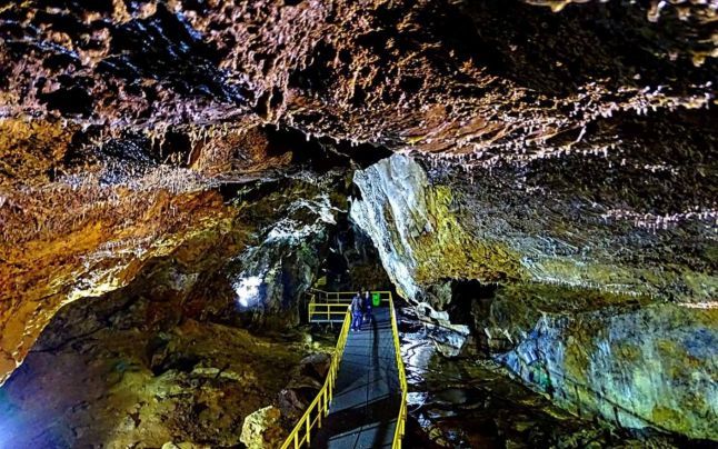 Un bărbat din Mehedinți s-a trezit cu un stâlp de electricitate pe terenul său