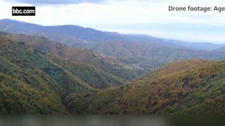 APIA Mehedinți: Deţinătorii de teren agricol care vor să înfiinţeze păduri sau perdele forestiere primesc ajutor de la stat