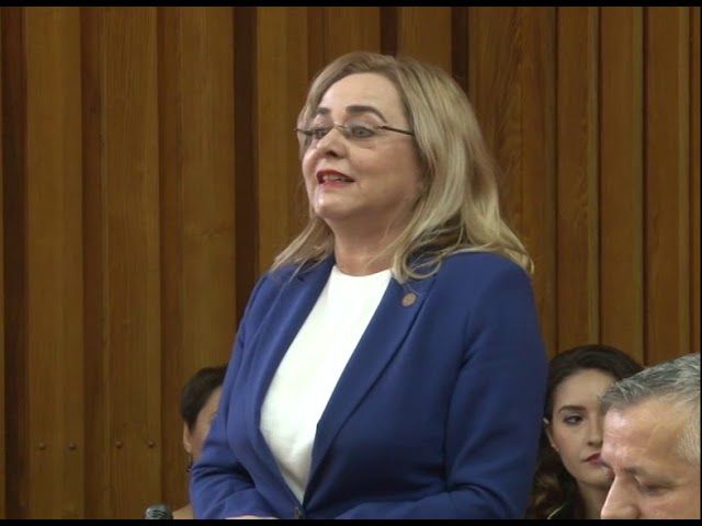 ODĂ CU APLAUZE PENTRU DRAGNEA ȘI DĂNCILĂ, LA MEHEDINȚI (video)