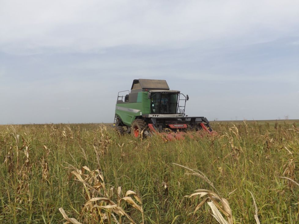 APIA Mehedinți efectuează plata ajutorului de stat pentru motorina utilizată în agricultură