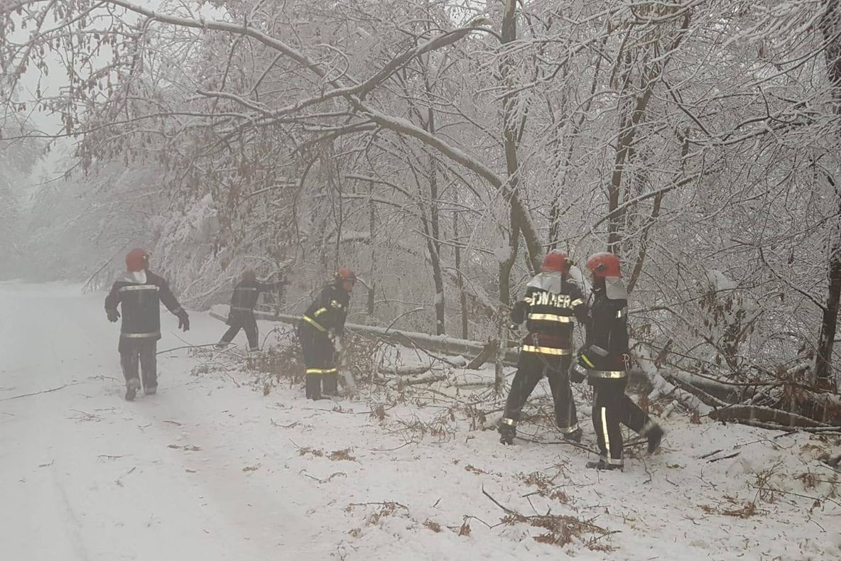 Copaci căzuți, mașini avariate din cauza zăpezii