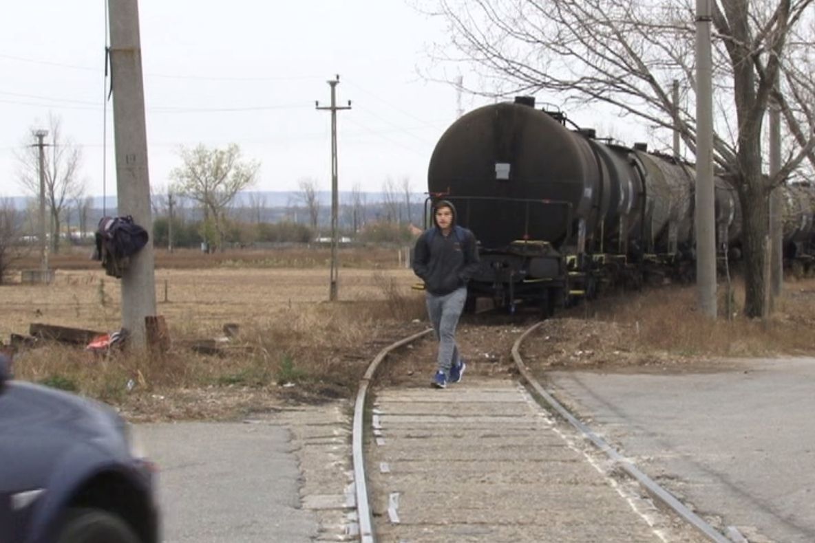 SEVERINUL CERE PĂCURĂ DE LA REZERVA DE STAT