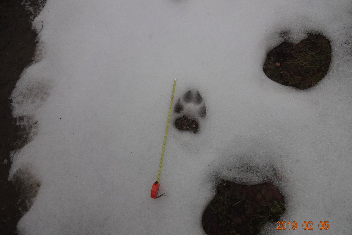 Fotografii inedite din Parcul Natural Porțile de Fier