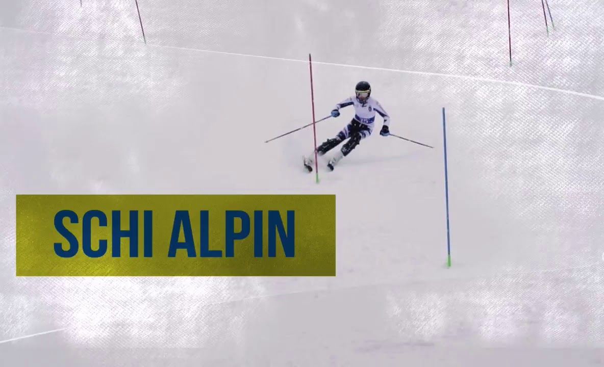 SE LICITEAZĂ CONSTRUCȚIA UNEI CENTRALE TERMICE ÎN COGENERARE LA SEVERIN