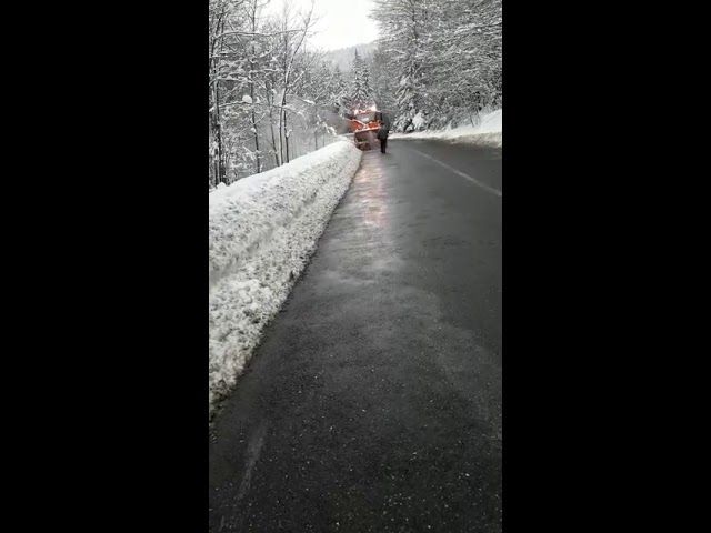 BERCEA MONDIAL A FOST ELIBERAT