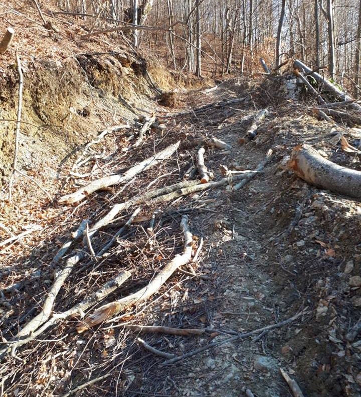 Acţiuni preventive de reducere a incendiilor de vegetaţie uscată