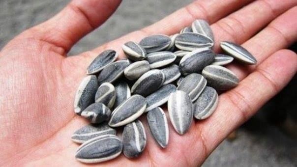 Viceprimarul Daniel Cîrjan: Amenzi usturătoare pentru „spărgătorii de semințe”