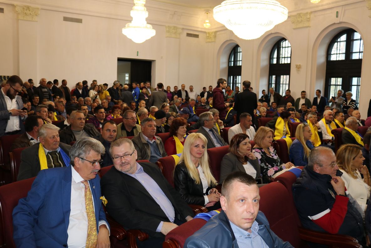 Trei organizații PNL din Mehedinți, premiate