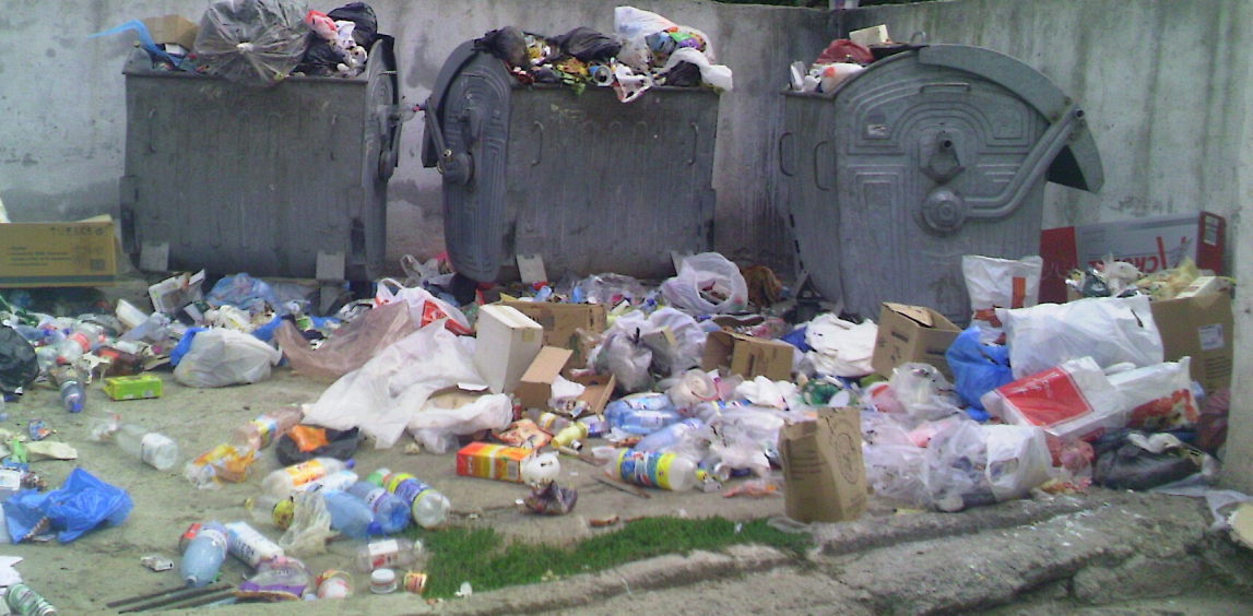 Sancționat cu 500 de lei pentru că a aruncat gunoiul menajer pe domeniul public