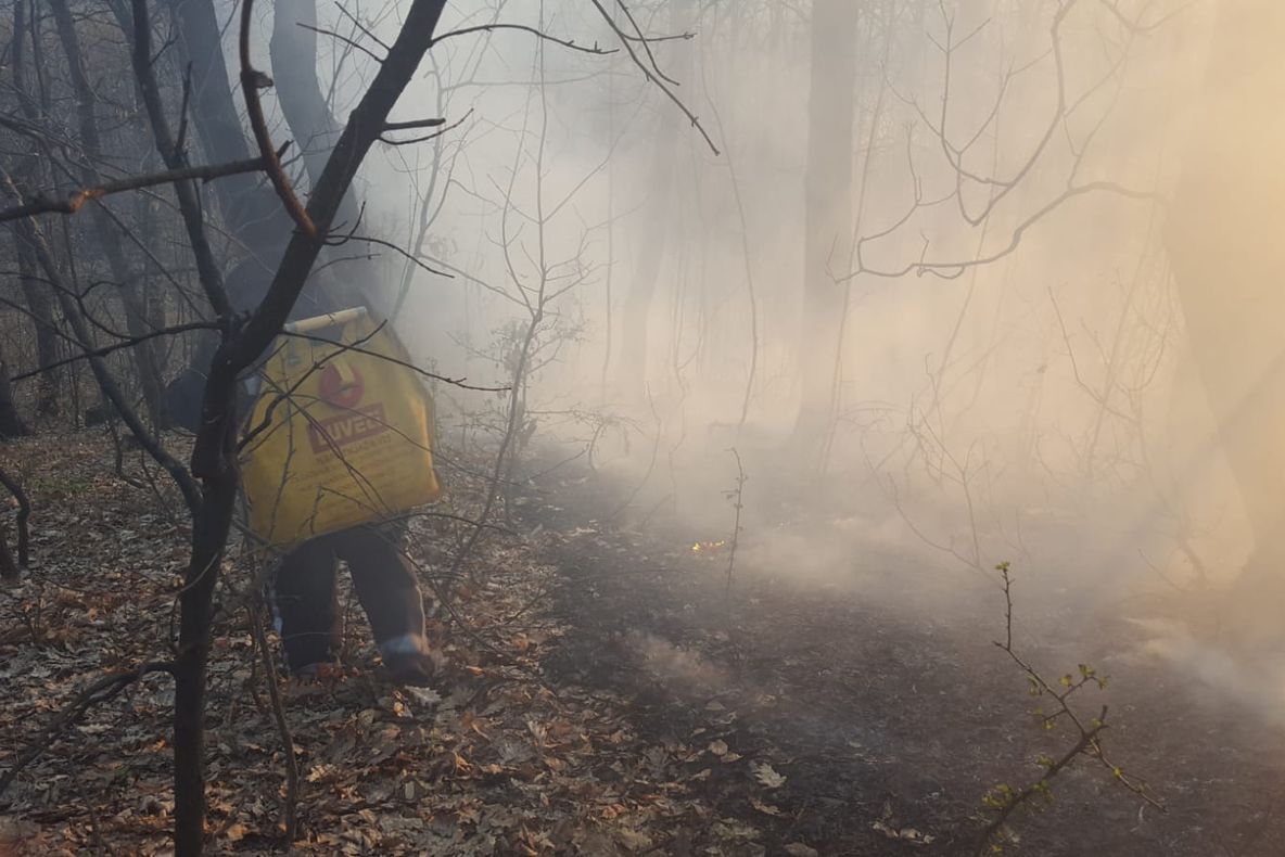 Pompierii acționează în continuare în Parcul Național Domogled