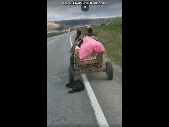 GABRIEL OPREA: „AU VENIT LA NOI PESTE 50 DE MII DE ROMÂNI PATRIOȚI, MILITARI, POLIȚIȘTI, POMPIERI, JANDARMI” (vezi VIDEO!)