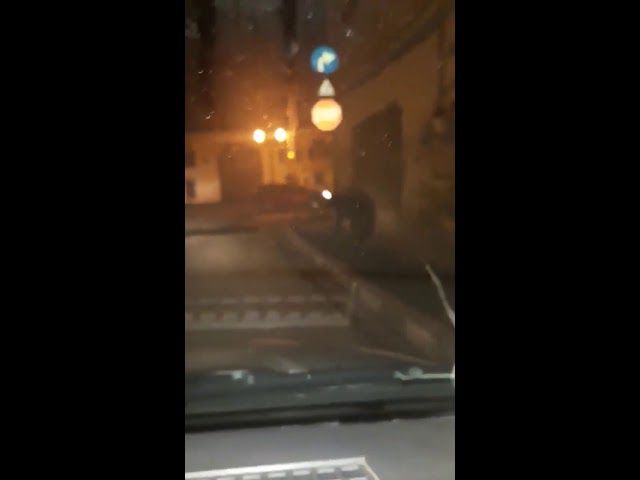 A ÎNCEPUT OLIMPIADA NAȚIONALĂ DE ISTORIE, EDIȚIA 2019, DE LA SEVERIN