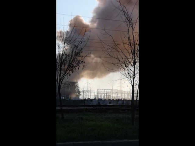 NOAPTEA CA HOȚII!: CUM SE FURĂ POMII, PE STRĂZILE DIN SEVERIN