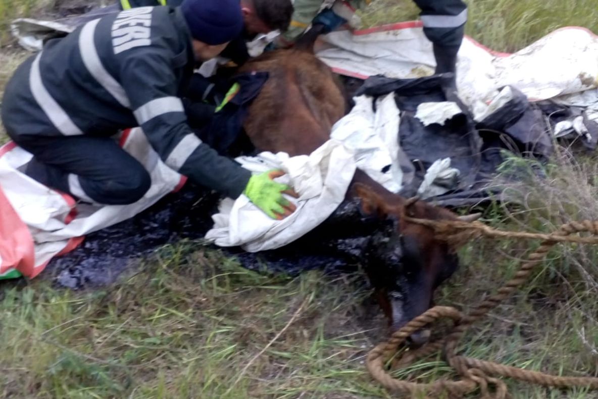 90 de pompieri de la ISU Mehedinți, la datorie în minivacanța de Sfânta Marie