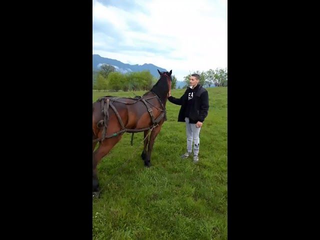 GREVĂ LA UZINA DE VAGOANE DIN SEVERIN