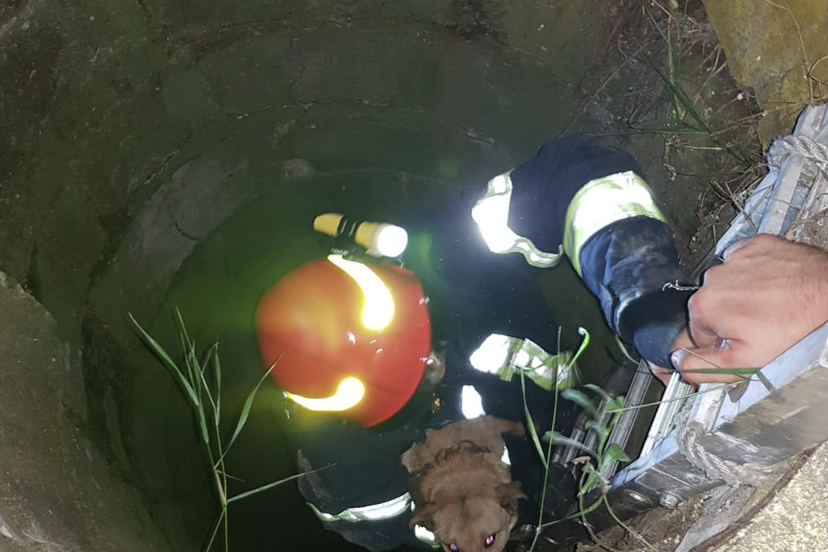 Pompierii mehedinţeni alături de comunitățile afectate de inundații