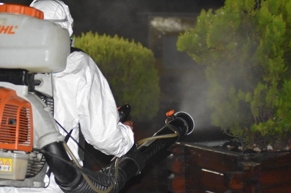 Primăria Severinului anunță continuarea tratamentelor împotriva țânțarilor