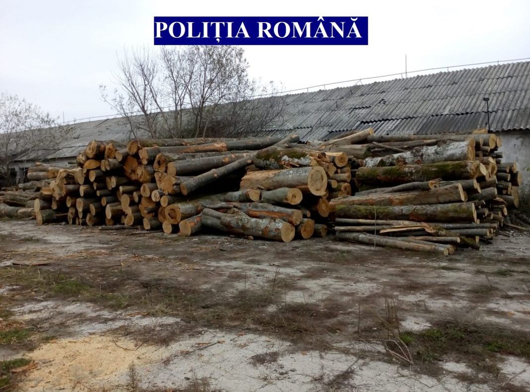Transportatorii de material lemnos, sancționați de polițiști