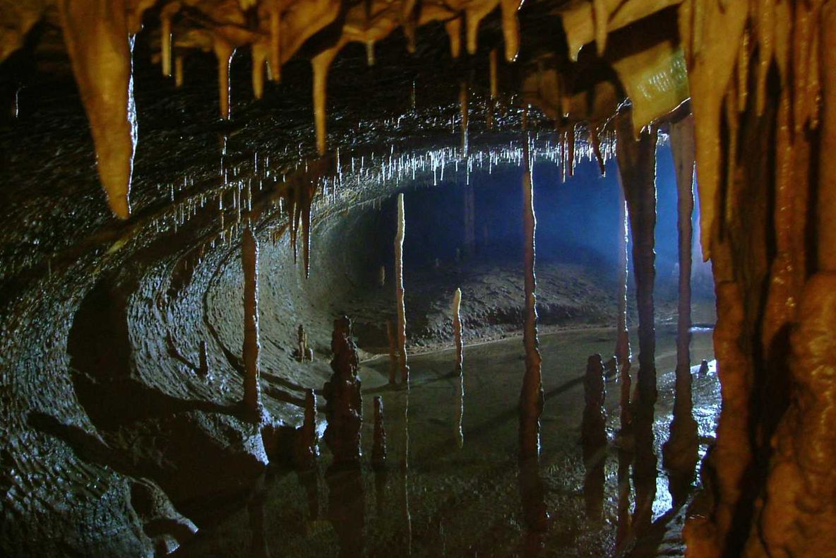 Sărbătoare câmpenească la Peştera Topolniţa, cu muzică populară şi concurs de ţuică de cireaşă