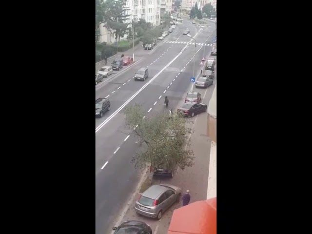 FOCAR DE PESTĂ PORCINĂ AFRICANĂ ÎNTR-O EXPLOATAȚIE ILEGALĂ DEȚINUTĂ DE VICEPRIMARUL COMUNEI GÂRLA MARE, PORCAR DE OCAZIE