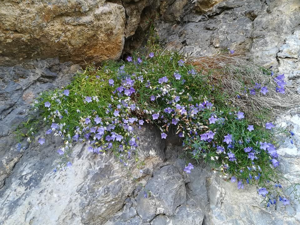 Culorile toamnei în Parcul Natural Porțile de Fier